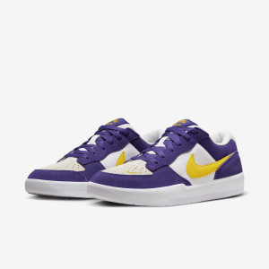 Кросівки Nike SB FORCE 58 DV5477-500