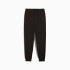 Штани підліткові ESS No. 1 Logo Sweatpants FL 68491201 Puma 176 Чорний 68491201