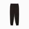 Штани підліткові ESS No. 1 Logo Sweatpants FL 68491201 Puma 176 Чорний 68491201