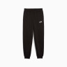 Штани підліткові ESS No. 1 Logo Sweatpants FL 68491201 Puma 176 Чорний 68491201
