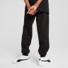 Штани підліткові ESS No. 1 Logo Sweatpants FL 68491201 Puma 176 Чорний 68491201