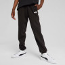 Штани підліткові ESS No. 1 Logo Sweatpants FL 68491201 Puma 176 Чорний 68491201
