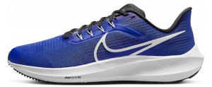 Кросівки Nike Pegasus 39 (сині) DH4071-400
