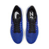 Кросівки Nike Pegasus 39 (сині) DH4071-400