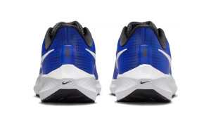 Кросівки Nike Pegasus 39 (сині) DH4071-400
