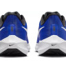Кросівки Nike Pegasus 39 (сині) DH4071-400