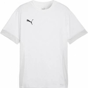 Футболка Puma teamGOAL Matchday  Jersey 705747-04