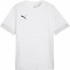 Футболка Puma teamGOAL Matchday  Jersey 705747-04