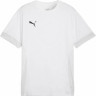 Футболка Puma teamGOAL Matchday Jersey 705747-04