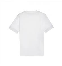 Футболка Puma teamGOAL Matchday  Jersey 705747-04