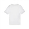 Футболка Puma teamGOAL Matchday Jersey 705747-04