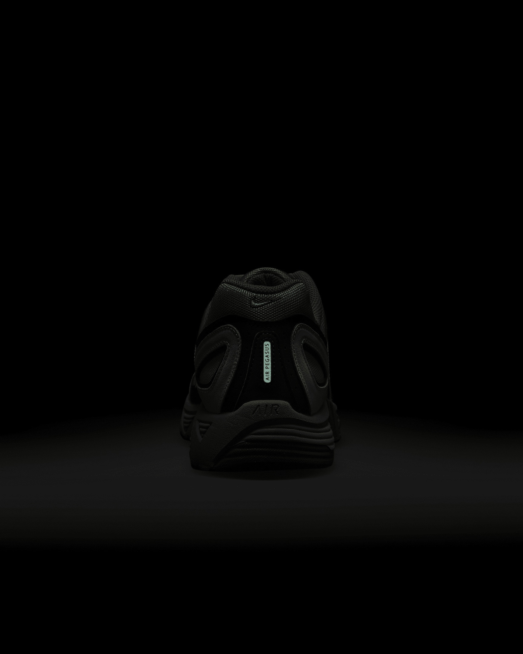 Кросівки Nike Air Pegasus 2005 HQ3444-343