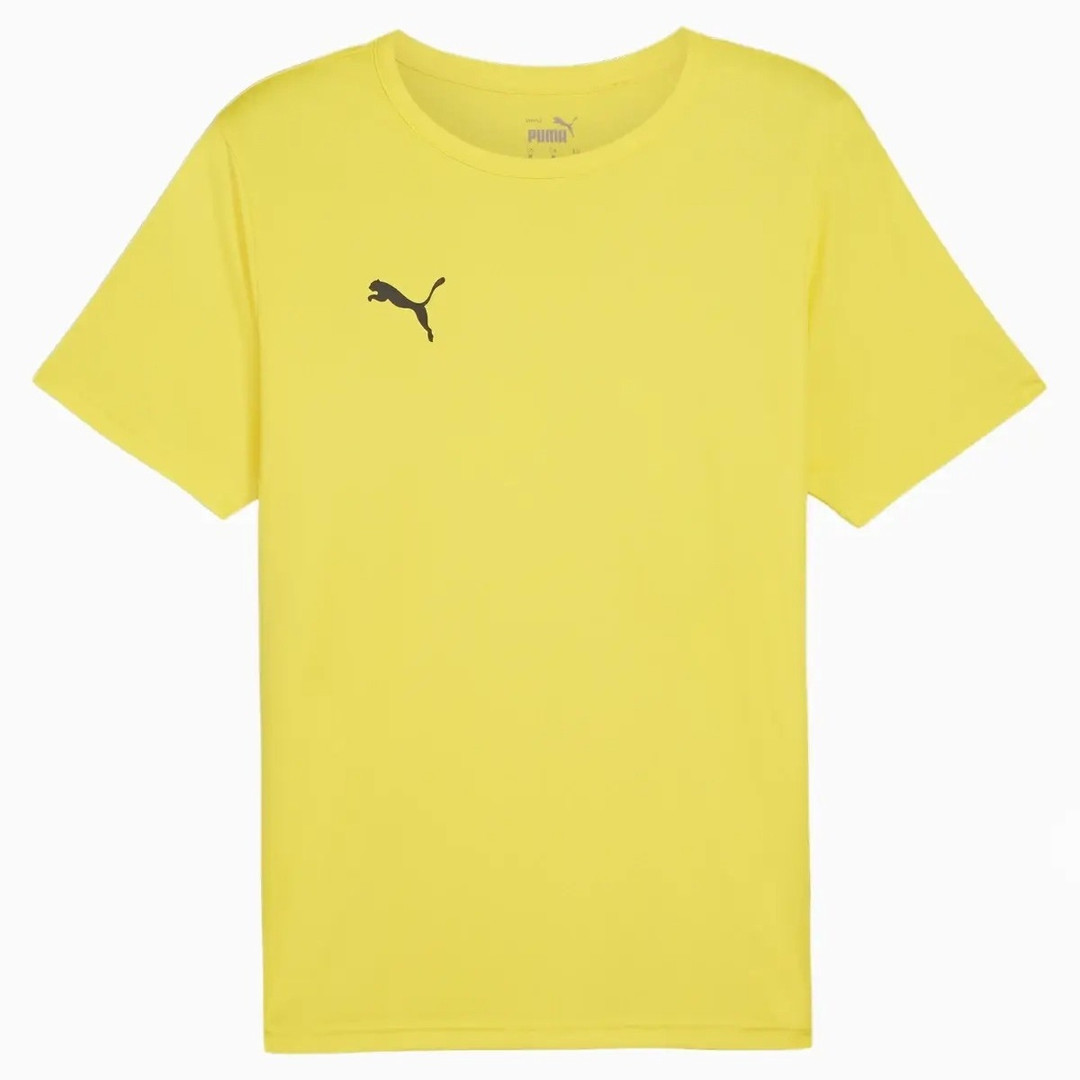 Футболка Puma teamRISE Matchday 706132-07