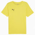 Футболка Puma teamRISE Matchday 706132-07