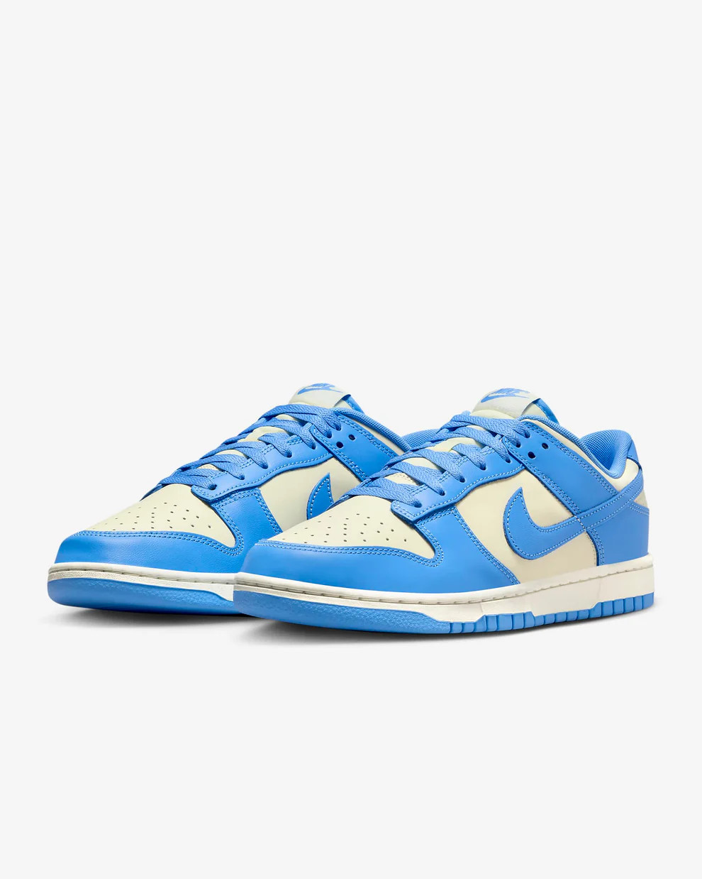 Кросівки Nike Dunk Low Retro DV0833-113