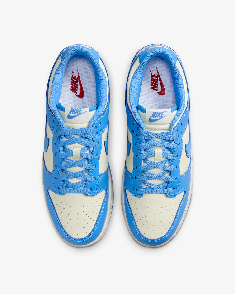 Кросівки Nike Dunk Low Retro DV0833-113