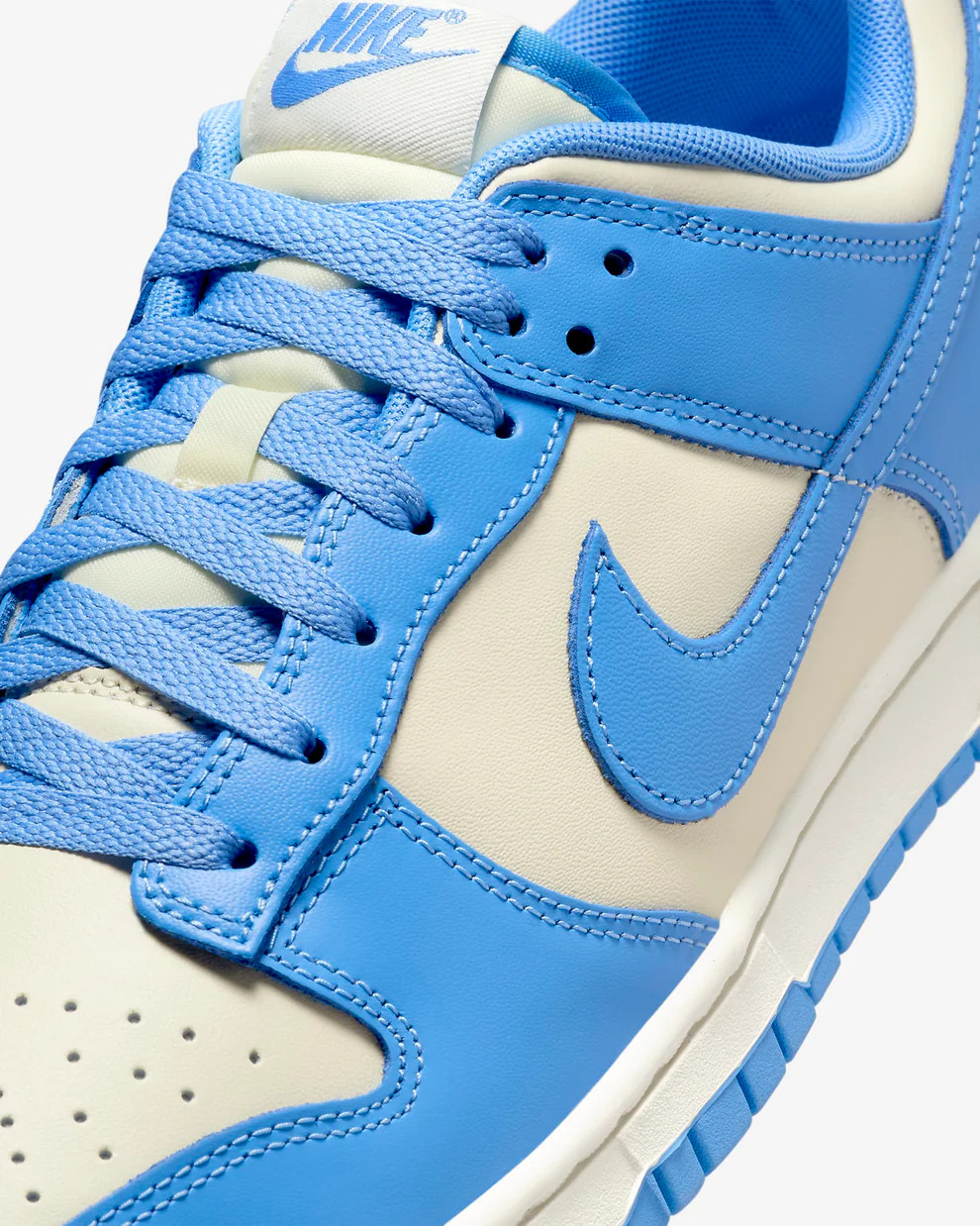 Кросівки Nike Dunk Low Retro DV0833-113