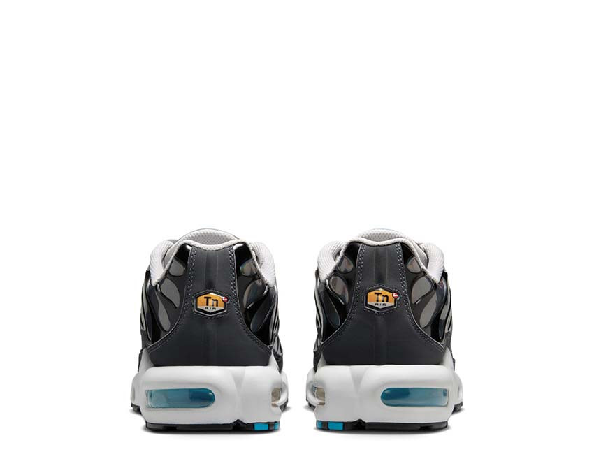 Кросівки Nike Air Max TN (Reflective) HV2525-001