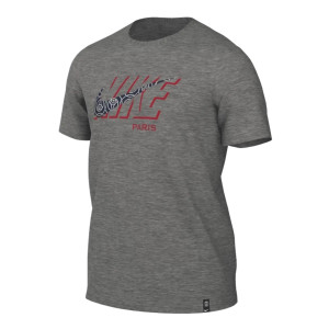 Футболка чоловіча Air Jordan X Psg 22/23 Swoosh T-Shirt Grey DZ3615-010 Футболка чоловіча Air Jordan X Psg 22/23 Swoosh T-Shirt Grey DZ3615-010