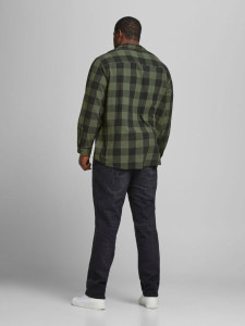 Сорочка JJEGINGHAM TWILL SHIRT L/S PS NOOS 12183107-Dusty Olive Jack&Jones PLUS 3XL Зелений 12183107-DUSTY OLIVE