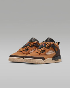 Кросівки JORDAN SPIZIKE LOW (GS) FQ3950-202