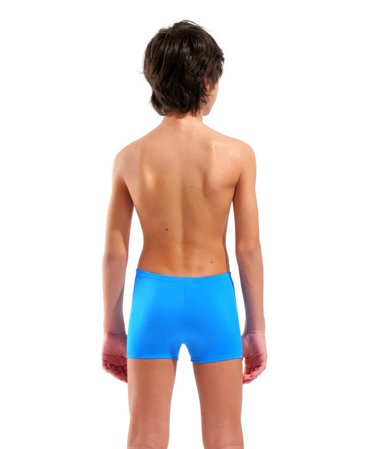 Плавки Arena POSEIDONIA SWIM SHORT 009008-806