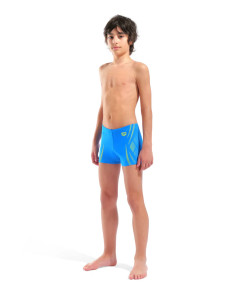 Плавки Arena POSEIDONIA SWIM SHORT 009008-806
