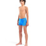 Плавки Arena POSEIDONIA SWIM SHORT 009008-806