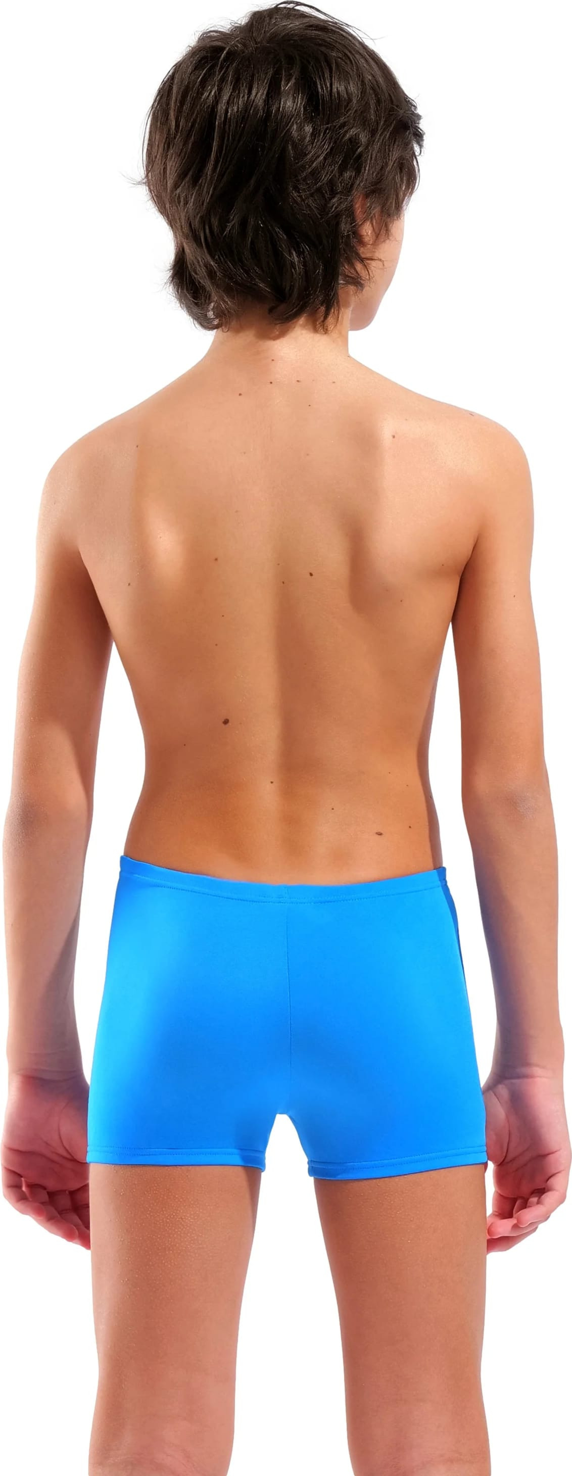 Плавки Arena POSEIDONIA SWIM SHORT 009008-806