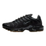 Кросівки Nike AIR MAX PLUS FV0385-001