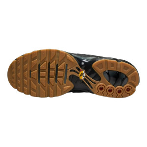 Кросівки Nike AIR MAX PLUS FV0385-001