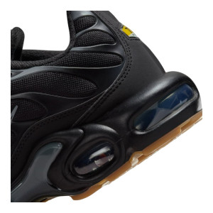 Кросівки Nike AIR MAX PLUS FV0385-001