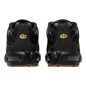 Кросівки Nike AIR MAX PLUS FV0385-001