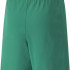 Шорти Puma teamRISE Short Jr зелений Діт 116 см 704943-05