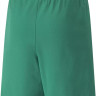 Шорти Puma teamRISE Short Jr зелений Діт 116 см 704943-05