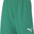 Шорти Puma teamRISE Short Jr зелений Діт 116 см 704943-05