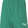 Шорти Puma teamRISE Short Jr зелений Діт 116 см 704943-05