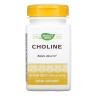 Порошок Choline 500 mg - 100 tabs 2022-10-1077
