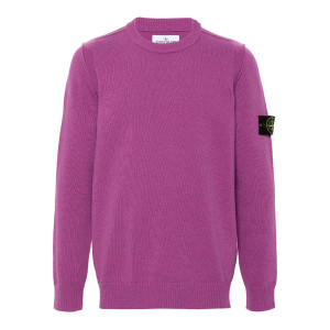 Кофта Stone Island Purple Cotton Logo Sweatshirt 1015532B9 V0045