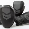 Комплект для боксу Everlast PROSPECT 2 MITT KIT чорний, сірий Уні OSFM P00003054