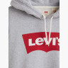 Худі Graphic Hoodie 384240000