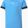 Футболка Puma teamRISE Jersey Jr блакитний Діт 116 см 704938-18
