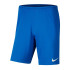 Шорти тренувальні Nike Y NK DF PARK III SHORT NB K BV6865-463