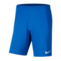 Шорти тренувальні Nike Y NK DF PARK III SHORT NB K BV6865-463