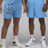 Шорти чоловічі Air Jordan Artist Series By Darien Birks Shorts Light Blue HF5474-462 Шорти чоловічі Air Jordan Artist Series By Darien Birks Shorts Light Blue HF5474-462