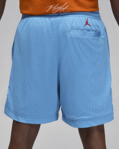 Шорти чоловічі Air Jordan Artist Series By Darien Birks Shorts Light Blue HF5474-462
