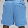 Шорти чоловічі Air Jordan Artist Series By Darien Birks Shorts Light Blue HF5474-462