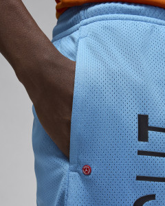Шорти чоловічі Air Jordan Artist Series By Darien Birks Shorts Light Blue HF5474-462
