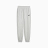 Штани ESS No. 1 Logo Sweatpants 68245804 Puma L Сірий 68245804