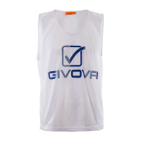 color white senior CT01-4